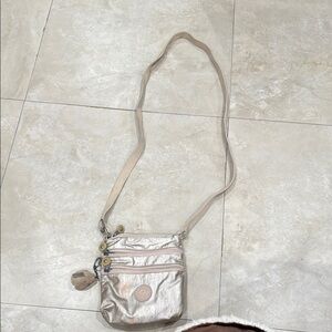 Metallic Crossbody Bag